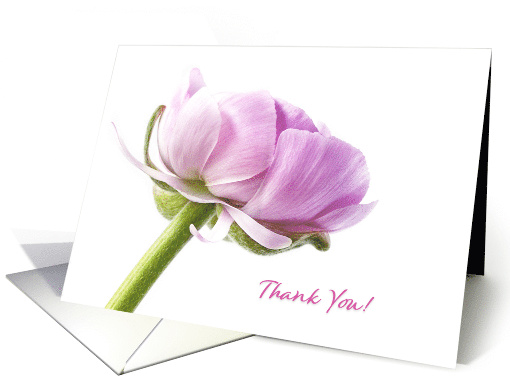 Thank You in Pink card (1731560)