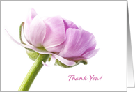 Thank You in Pink
