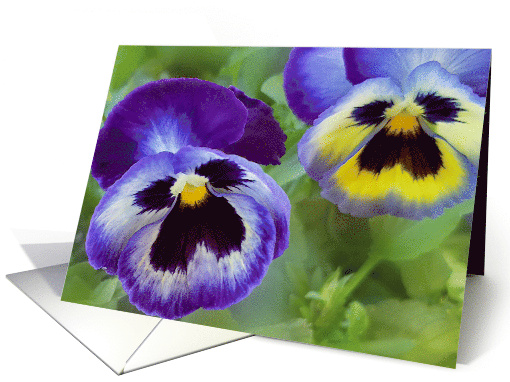 Blue Pansies card (1764560)