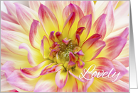 Dahlia card