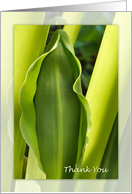 Green Leaf Thank You Note Card