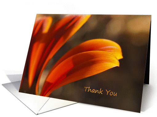 Sunny Afternoon Thank You Note card (930938)