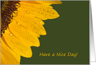 Have a Nice Day! card
