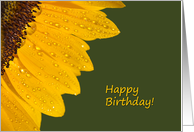 Happy Birthday! card