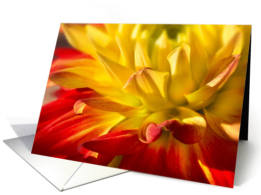 Dahlia card (938415)