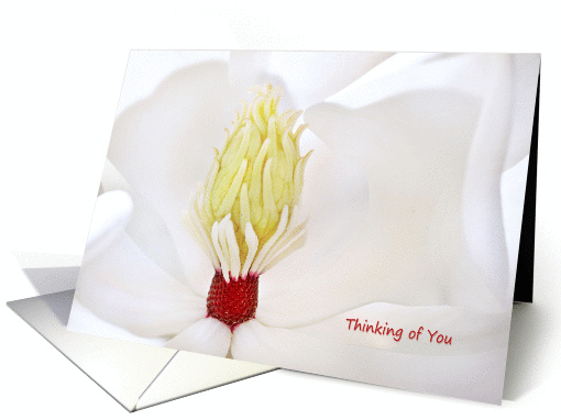 Thinking Of You card (942145)