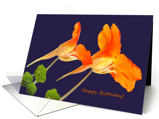 Happy Birthday! Blank Inside Note card (949217)