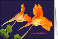 Happy Birthday! Blank Inside Note Card