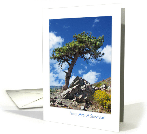 You Are A Survivor Lone Pine Tree card (956231)