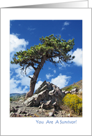 You Are A Survivor Lone Pine Tree card