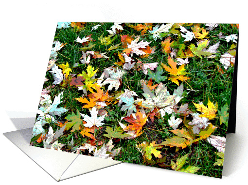 Scattered Leaves Blank Inside Note card (960067)