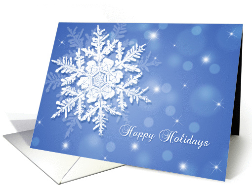 Happy Holidays Blank Note card (996719)