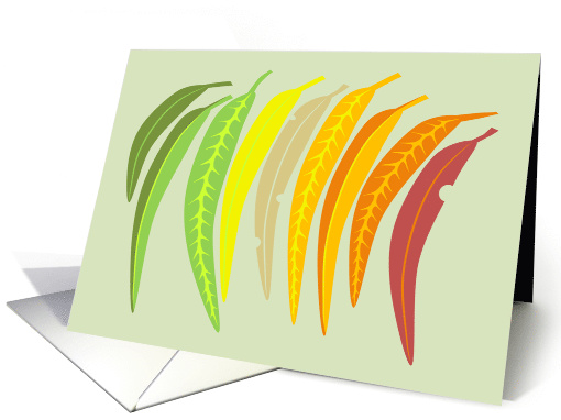 Australian Eucalyptus Leaves - Across the Miles card (1466336)