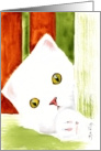 Peeking Cat card