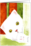 Peeking Cat card