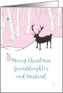 Merry Christmas Granddaughter and Husband Whimsical Reindeer Forest card