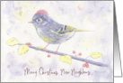 Merry Christmas New Neighbors Whimsical Purple Watercolor Bird Holly card