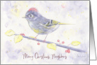 Merry Christmas Neighbors Whimsical Purple Watercolor Bird with Holly card