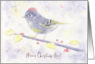 Merry Christmas Aunt Whimsical Purple Watercolor Bird with Holly card