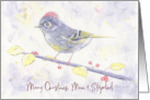 Merry Christmas Mom and Step Dad Whimsical Purple Watercolor Bird card