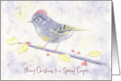 Merry Christmas Special Couple Whimsical Purple Watercolor Bird Holly card