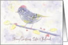 Merry Christmas Sister and Boyfriend Whimsical Purple Watercolor Bird card