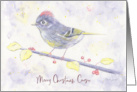 Merry Christmas Cousin Whimsical Purple Watercolor Bird with Holly card