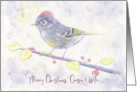 Merry Christmas Cousin and Wife Whimsical Purple Watercolor Bird Holly card