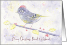 Merry Christmas Friend and Husband Whimsical Purple Watercolor Bird card