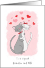 Happy Valentines Grandson and Wife Happy Cartoon Cat Couple card