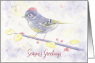 Season’s Greetings Whimsical Purple Watercolor Bird and Holly card