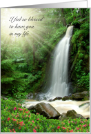 Blessed to Have You, Lush Forest, Waterfall, Friendship card
