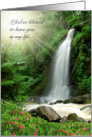 Blessed to Have You, Lush Forest, Waterfall, Friendship card