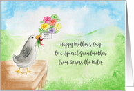 Happy Mother’s Day Special Grandmother, Across Miles, Bird, Hills, Sky card