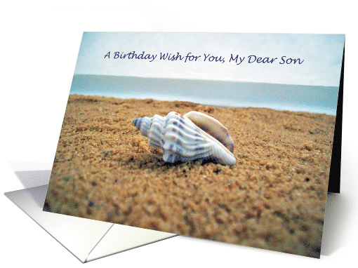 Birthday Wish for Dear Son, Seashell on Beach card (1482566)