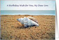 Birthday Wish for Dear Son, Seashell on Beach card