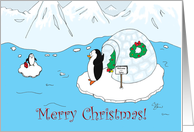 Humorous Christmas, Penguins Visiting, Igloo, Ice card