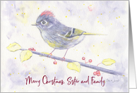 Merry Christmas Sister and Family Whimsical Purple Watercolor Bird card