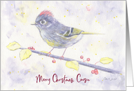 Merry Christmas Cousin Whimsical Purple Watercolor Bird with Holly card