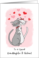 Happy Valentines Granddaughter and Husband Happy Cartoon Cat Couple card