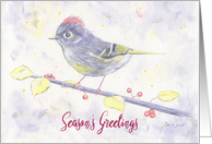 Season’s Greetings Whimsical Purple Watercolor Bird and Holly card