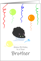 Brother Birthday Funny Fluffy Black Cat in Tiny Box card