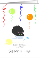 Sister in Law Birthday Funny Fluffy Black Cat in Tiny Box card