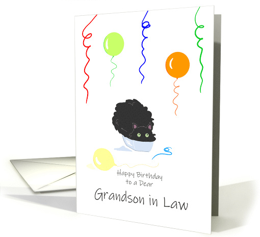 Grandson in Law Birthday Funny Fluffy Black Cat in Tiny Box card
