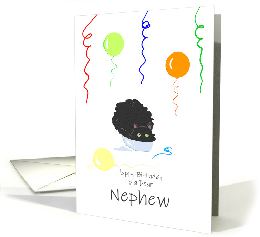 Nephew Birthday Funny Fluffy Black Cat in Tiny Box card (1724214)