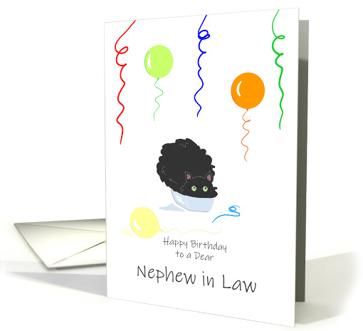 Nephew in Law Birthday Funny Fluffy Black Cat in Tiny Box card