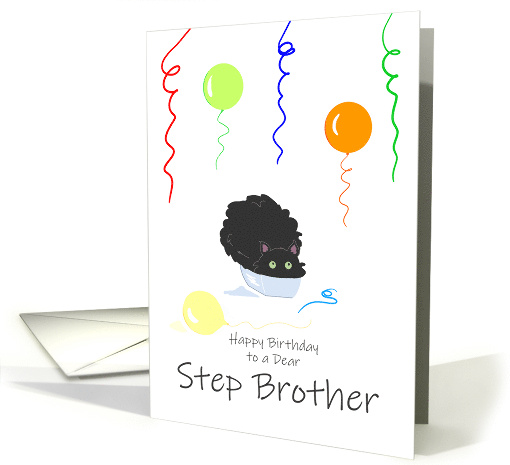 Step Brother Birthday Funny Fluffy Black Cat in Tiny Box card