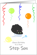 Step Son Birthday Funny Fluffy Black Cat in Tiny Box card