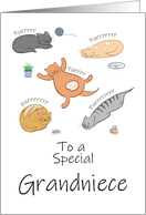 Grandniece Birthday Funny Cartoon Cats Sleeping and Purring card