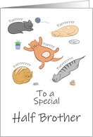 Half Brother Birthday Funny Cartoon Cats Sleeping and Purring card